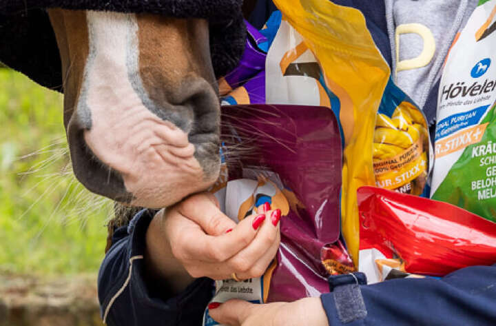 teaserbild hoeveler puritan einstiegsbanner pferdefutter pferd ergaenzungsfutter supplemente m